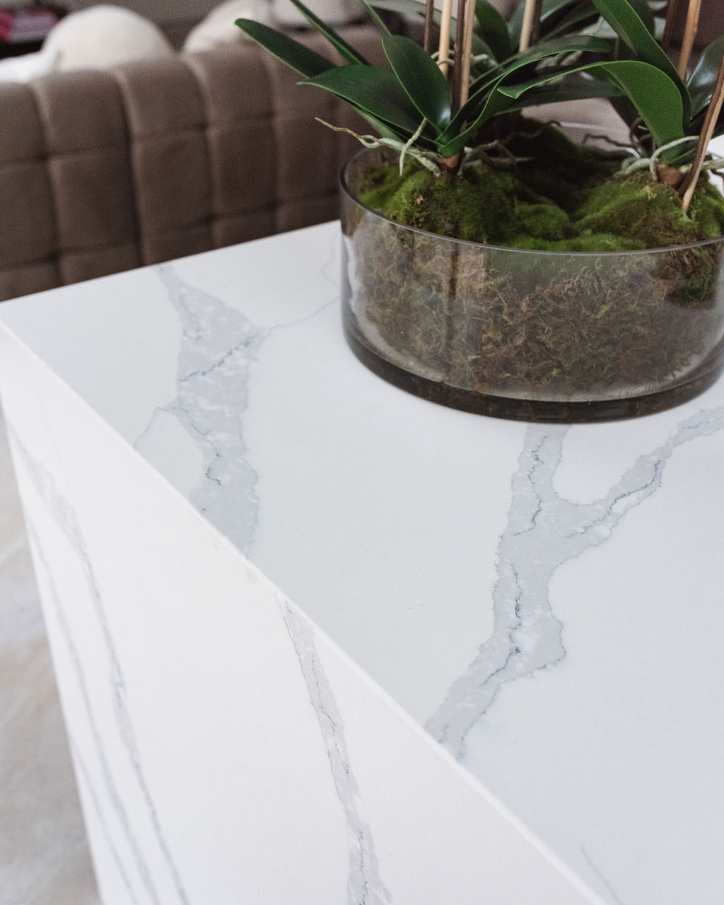 white marble table with plants on it